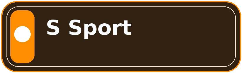 S Sport logosu