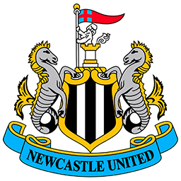 Newcastle logosu