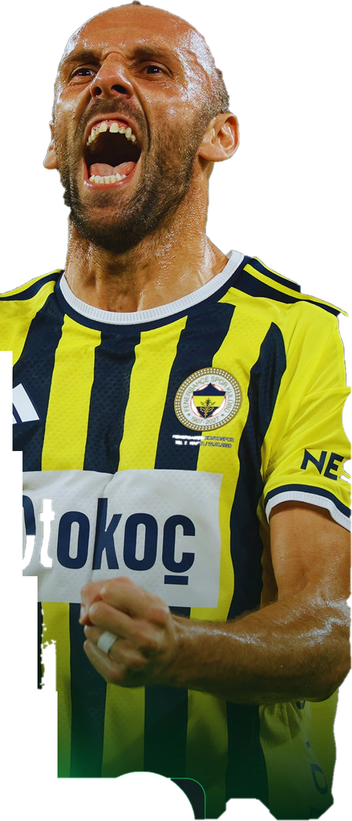 Fenerbahçe formasıyla futbolcu görseli